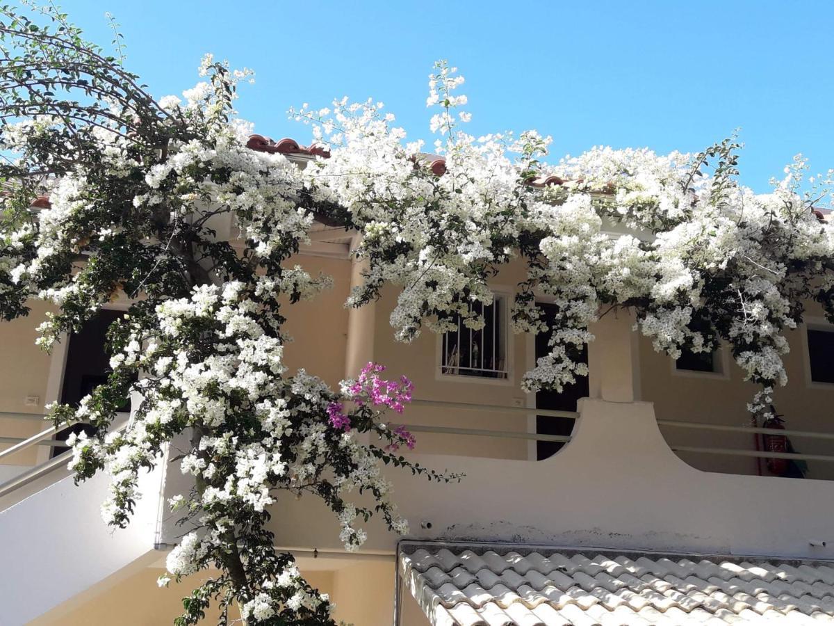 Makis Apartments Arillas  Buitenkant foto